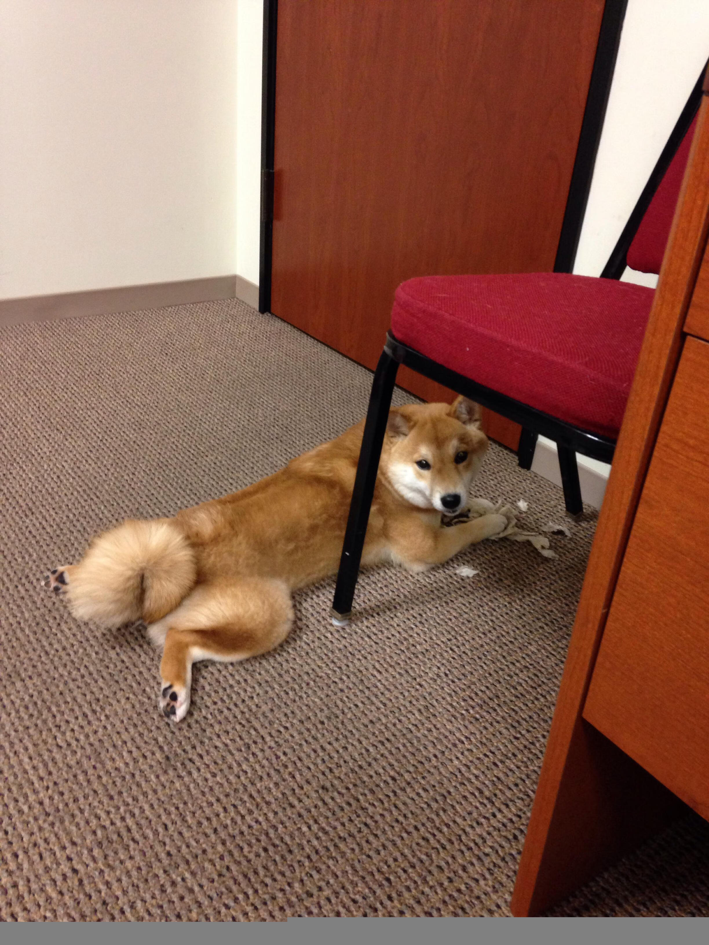 九游娱乐app下载-隐刃与狂澜,恩佐致命一击,乌拉圭加时鏖战力克厄瓜多尔